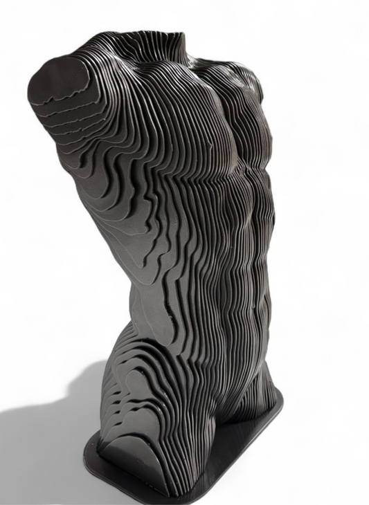 TORSO MASCULINO