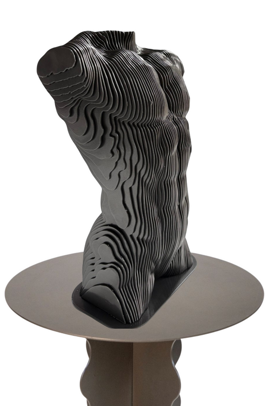 TORSO MASCULINO